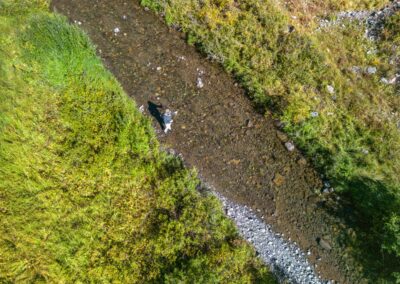 Pagosa Springs Fly Fishing Guides, High Country Fly Fishing, San Juan Mountains Southern Colorado