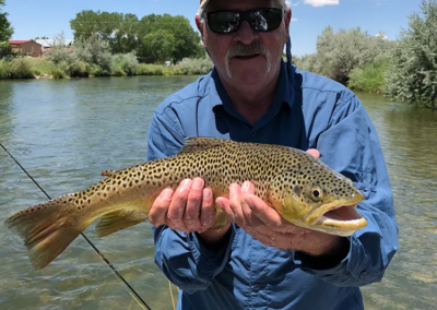 Pagosa Springs Fly Fishing Guides, High Country Fly Fishing, San Juan Mountains Southern Colorado