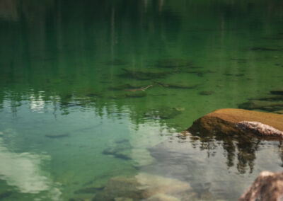 Pagosa Springs Fly Fishing Guides, High Country Fly Fishing, San Juan Mountains Southern Colorado