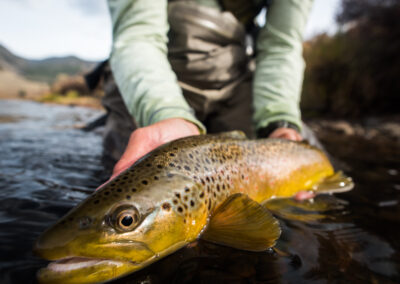 Pagosa Springs Fly Fishing Guides, High Country Fly Fishing, San Juan Mountains Southern Colorado